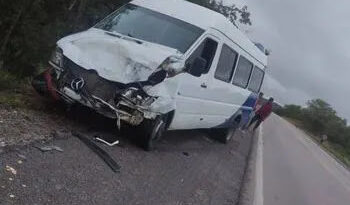 Motorista perde controle de van e atinge animal na AL-145 próximo a Delmiro Gouveia